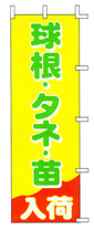 球根・タネ・苗入荷