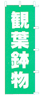 観葉鉢物
