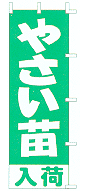 やさい苗入荷