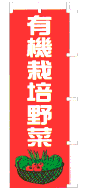 有機栽培野菜