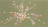 �Z���^�[�C���X�g�݉�